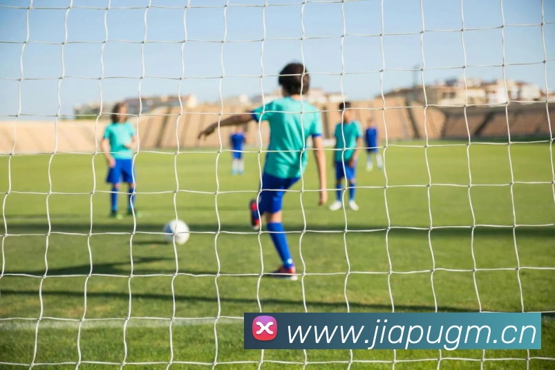 熊猫体育在线登录入口品牌故事